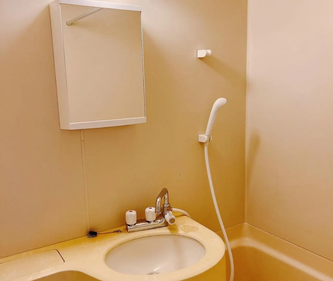 Ying-Shinjuku Hostel Tokyo
